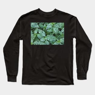 Transformation Long Sleeve T-Shirt